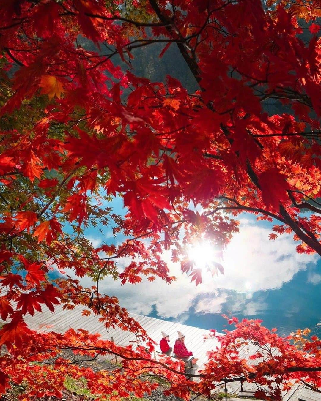 Stayway女子さんのインスタグラム写真 - (Stayway女子Instagram)「【📍福島県・北塩原村】 ——————————————— 紅葉の名所として知られる #五色沼  真っ赤な紅葉とコバルトブルーの湖面のコントラストが最高に美しいです🍁❤️ ——————————————— 素敵な女子旅をされている方をご紹介させていただきます！✨ こちらの写真は @____amerinco____ さんがアプリへ投稿してくださいました😄魅力が伝わってくる素敵な投稿ありがとうございました🎵 ⁡ #Stayway女子旅 というハッシュタグをつけて是非投稿してください♪ Instagramにてご紹介させていただきます！ ——————————————————— AppStore又はGooglePlayで「stayway」を検索！トラベルクリエイターがリアルな口コミを情報発信！エリアでの絞り込みや位置情報でも投稿を探せます😌  ステキなお出かけや旅の思い出を記録していきましょう🎵優先的にインスタでシェアさせていただきます！ ——————————————————— 裏磐梯の五色沼湖畔群の中で一番有名な毘沙門沼。紅葉の時期はもみじの赤と湖の青の美しいコントラストを見ることができます。沼にはハート模様の鯉が泳いでいることでも有名です。ボート遊びもできます！紅葉シーズンは駐車場が満車になるほどの人気スポットです。 ————————————————— #stayway_girls #stayway_fukushima #福島観光 #福島旅行 #五色沼湖畔群 #裏磐梯観光 #裏磐梯 #紅葉狩り #女子旅 #福島女子旅 #東京カメラ部 #旅行好き #国内旅行 #プチ旅行 #週末旅行 #フォトジェニック #フォトジェニックスポット #映えスポット #絶景スポット #東北観光 #東北旅行 #秋旅行 #紅葉スポット #裏磐梯五色沼」9月29日 21時40分 - stayway_girls