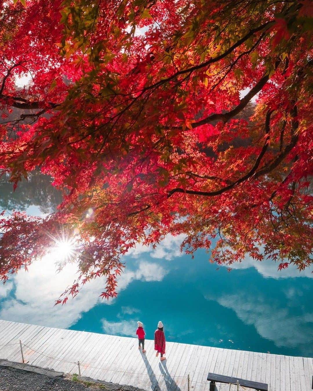 Stayway女子さんのインスタグラム写真 - (Stayway女子Instagram)「【📍福島県・北塩原村】 ——————————————— 紅葉の名所として知られる #五色沼  真っ赤な紅葉とコバルトブルーの湖面のコントラストが最高に美しいです🍁❤️ ——————————————— 素敵な女子旅をされている方をご紹介させていただきます！✨ こちらの写真は @____amerinco____ さんがアプリへ投稿してくださいました😄魅力が伝わってくる素敵な投稿ありがとうございました🎵 ⁡ #Stayway女子旅 というハッシュタグをつけて是非投稿してください♪ Instagramにてご紹介させていただきます！ ——————————————————— AppStore又はGooglePlayで「stayway」を検索！トラベルクリエイターがリアルな口コミを情報発信！エリアでの絞り込みや位置情報でも投稿を探せます😌  ステキなお出かけや旅の思い出を記録していきましょう🎵優先的にインスタでシェアさせていただきます！ ——————————————————— 裏磐梯の五色沼湖畔群の中で一番有名な毘沙門沼。紅葉の時期はもみじの赤と湖の青の美しいコントラストを見ることができます。沼にはハート模様の鯉が泳いでいることでも有名です。ボート遊びもできます！紅葉シーズンは駐車場が満車になるほどの人気スポットです。 ————————————————— #stayway_girls #stayway_fukushima #福島観光 #福島旅行 #五色沼湖畔群 #裏磐梯観光 #裏磐梯 #紅葉狩り #女子旅 #福島女子旅 #東京カメラ部 #旅行好き #国内旅行 #プチ旅行 #週末旅行 #フォトジェニック #フォトジェニックスポット #映えスポット #絶景スポット #東北観光 #東北旅行 #秋旅行 #紅葉スポット #裏磐梯五色沼」9月29日 21時40分 - stayway_girls