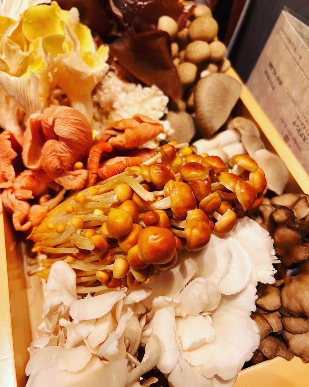 神尾葉子のインスタグラム：「キノコ鍋🍄 友達と、これでもかっというくらいの数種類のキノコ食べてきました😋薬膳鍋大好きです！ 秋ですね✨この間まで暑かったのになあ、1年が早い🤔  #きのこ鍋」