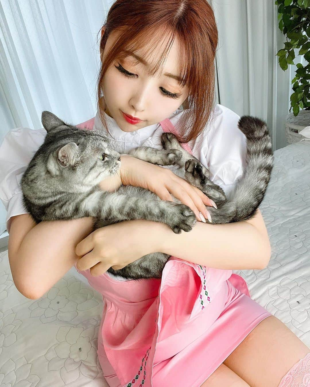 桃色れくさんのインスタグラム写真 - (桃色れくInstagram)「にゃんこ～🐱 ⁡ ⁡ * * * * * 🍑ももれくフレンズ予定🍑 ⁡ 10/30　ハロウィンイベント開催予定☆ 12/18  コスホリ 12/31  コミケ ⁡ 🍑毎日更新中ファンクラブサイト「Fantia」🍑 Instagramに載せられないのが載ってます♡ https://fantia.jp/fanclubs/17179 ⁡ 🍑＼To my overseas fans／🍑 ▶️https://www.patreon.com/momoreku ⁡ ⁡ 🍑毎日更新中ファンクラブサイト「Fantia」🍑 Instagramに載せられないのが載ってます♡ https://fantia.jp/fanclubs/17179 ⁡ * * * * * #ウェイトレス #waitress #アンナミラーズ  #🐈️ #ねこ #自撮り女子 #自撮り界隈  #こすぷれ #撮影モデル #freelancemodel  #lookgoodfeelgood」9月29日 18時30分 - momoreku