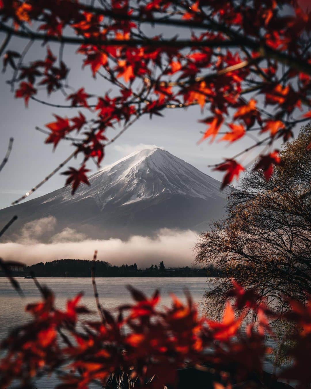 R̸K̸のインスタグラム：「Japan getting autumn season.  ・ ・ ・ ・ #beautifuldestinations #earthfocus #earthbestshots #earthoffcial #earthpix #thegreatplanet #discoverearth #roamtheplanet #ourplanetdaily #nature」