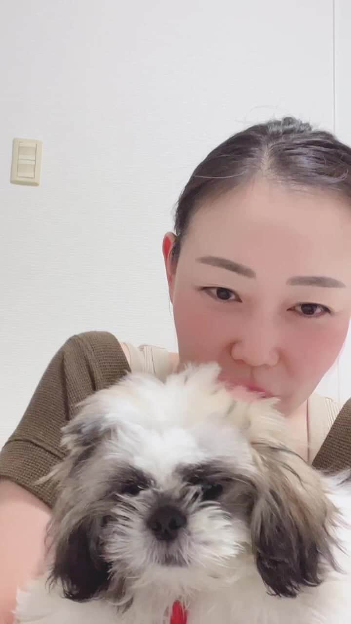 のインスタグラム：「ㅤㅤ お久しぶりLIVE 近況報告&ヘアアレンジとかとか 大阪のおすすめとかとか」