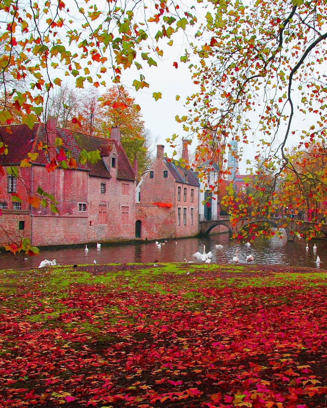 Hatice Korkmaz The Color Queenさんのインスタグラム写真 - (Hatice Korkmaz The Color QueenInstagram)「Sonbaharın renk cümbüşünde kendinizi kaybedebileceğiniz en sevdiğim yerleri sizin için Flyista.com ‘da anlattım ❤️🍁🍂🧡Profilimdeki linkten ulaşabileceğiniz ‘Avrupa’da Sonbaharın En Yakıştığı Yerler’ yazım ekim ve kasımda güzel bir rota oluşturmanıza yardımcı olacaktır😊 #flyista  #autumn #europe #lauterbrunnen #wengen #amsterdam #brugge #paris」9月30日 1時56分 - kardinalmelon