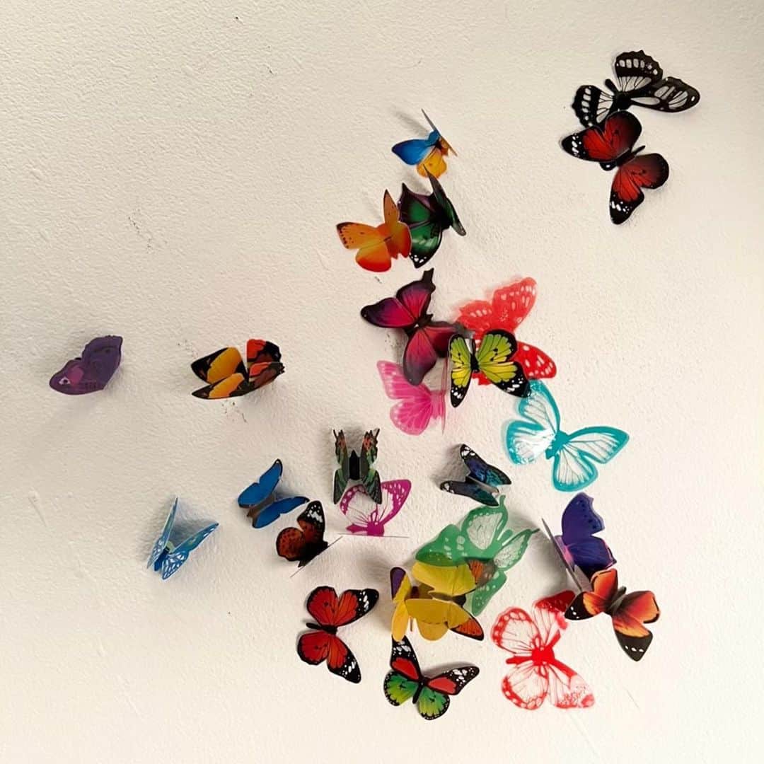 のインスタグラム：「🦋...<3 🦖」
