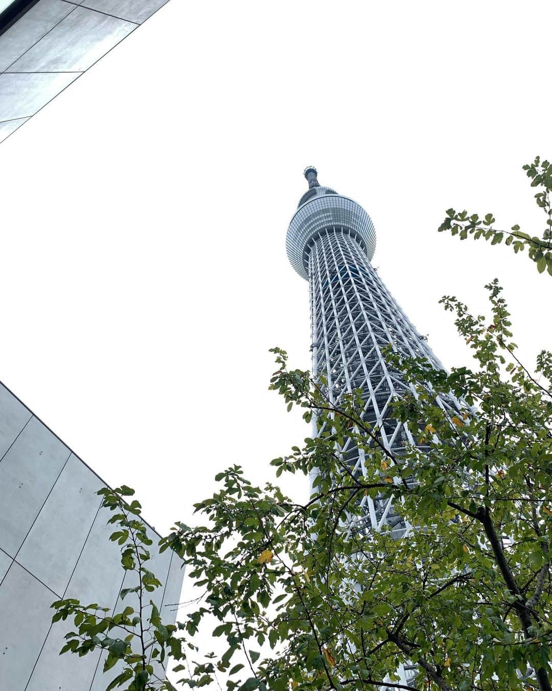 栗原由佳のインスタグラム：「いつも車から見るばかりだったから 先日思い立って行ってみました。  #スカイツリー   人が多かったー！  東京タワー🗼がすごく小さく見えて 逆に気になったらしく、 今度は東京タワーに行こう〜と 言っています。  上の子たちが小学生のころ 東京タワーも スカイツリーも 他にも東京あちこち出かけたけれど  チビたち二人はその頃 まだ生まれてなかったり(爆) よちよちだった頃にしか来てなかったので、 今回はもうちゃんと 記憶に残ったんじゃないかと 思われます笑笑  #くもり空  #9月  #連休   #4人きょうだい  #歳の差きょうだい   #大学1年  #高校2年  #小6  #小1」