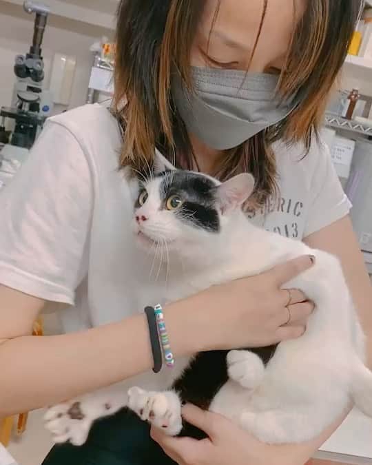 中島美嘉のインスタグラム