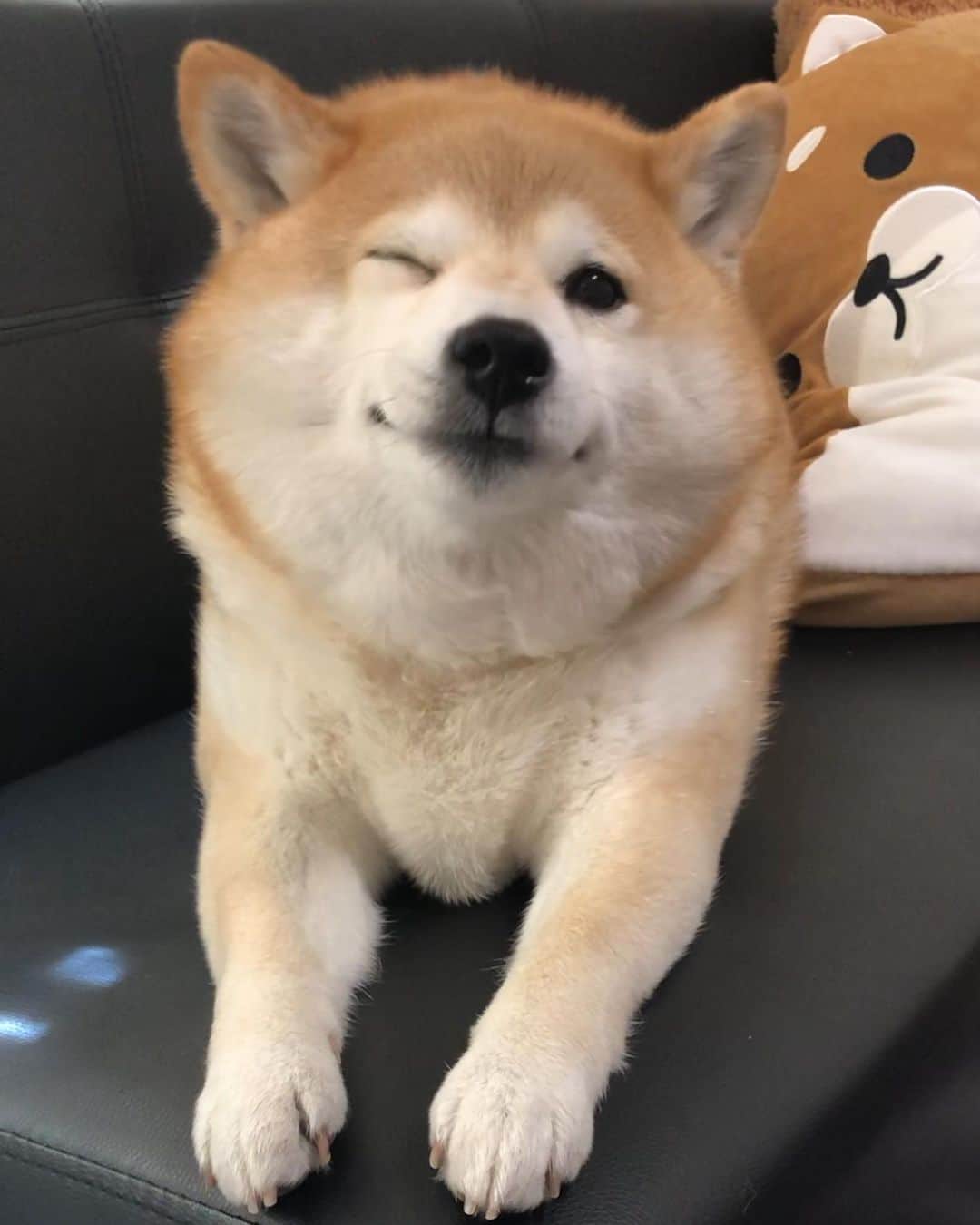 いなりのインスタグラム