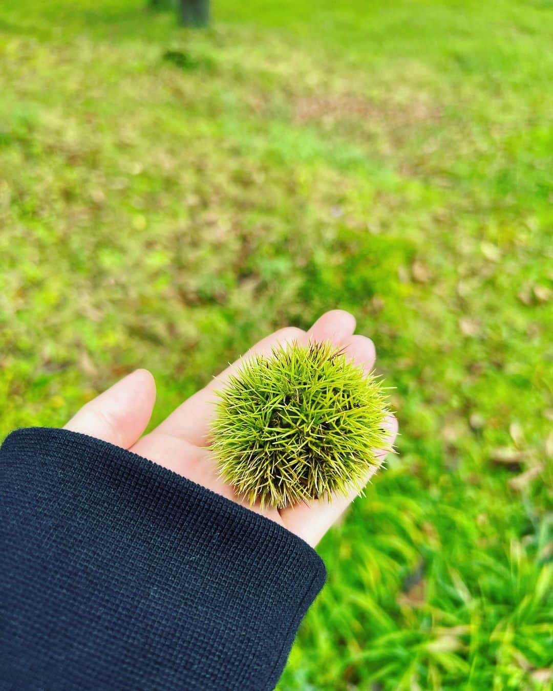 内田恭子のインスタグラム