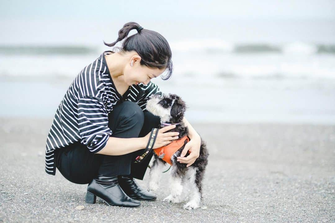 森口彩乃のインスタグラム：「・  海とトノシリーズ、お気に入りなのでじゃんじゃんUPしておこう📸🐾  この時のおトノは、まだ4〜5ヶ月くらいで、ちいさい〜！ 今は立派な8ヶ月のお兄ちゃんになりました✨  まだまだヤンチャだけど、きちんと目を見て話を聞いてくれたり、歯磨きも上手にできる様になって、あ〜ちゃんと大きくなってくれているんだなぁって。  これから、どんな成犬になって行くのか楽しみ！  また、トノとのYouTubeも撮らなくちゃ✨✨✨  photo by @yashi.10.03   #ミニチュアシュナウザー #子犬  #パピー #湘南 #海 #海コーデ  #ミニシュナスタグラム #ミニシュナ部 #ポートレート」