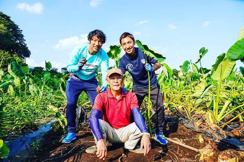 伊藤翔さんのインスタグラム写真 - (伊藤翔Instagram)「昨日は野菜の収穫のお手伝いとして ジコンファーム さんへ訪問しました。 昨日収穫した野菜を使用したメニューが10/9の大分戦にて、キッチンカーで販売されます。 皆さんぜひ！  #ジコンファーム #今日は今日で応援しましょう #自分もそろそろ・・・」10月1日 9時04分 - shoito16