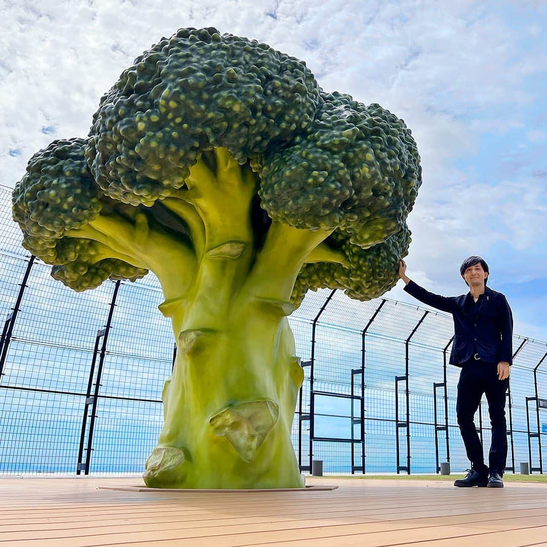 田中達也のグルメインスタ
