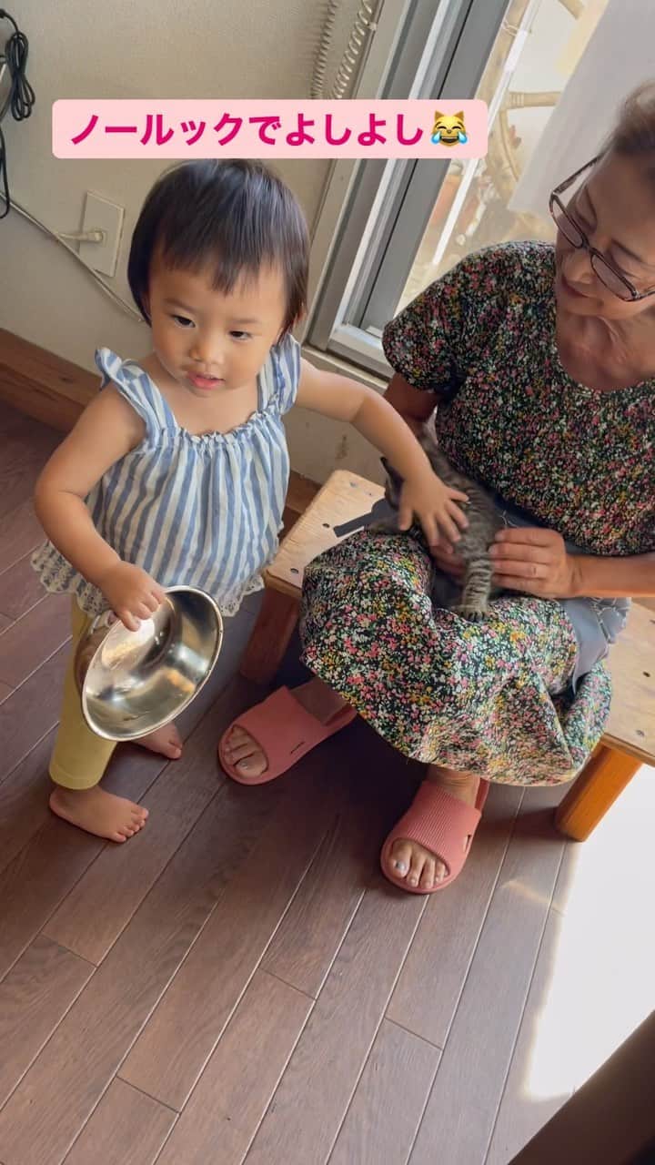 YUKAのインスタグラム：「久しぶりに会ったななちゃんと🐱💓 ノールックよしよし😹❤️そしてサプリメントどーぞ💊w  #赤ちゃんと猫 #1歳児 #1歳4ヶ月」