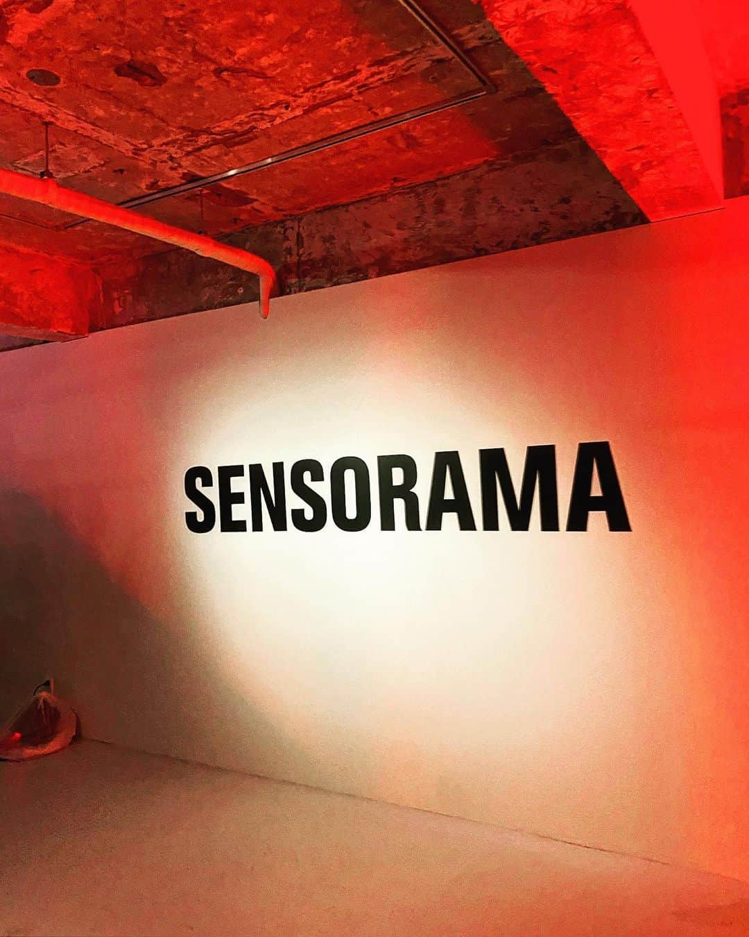 キム·ドンファンさんのインスタグラム写真 - (キム·ドンファンInstagram)「#sensorama_oficial  @uuujooo7 @realllllmino  너무 예쁘다」10月1日 17時40分 - donghwankim89