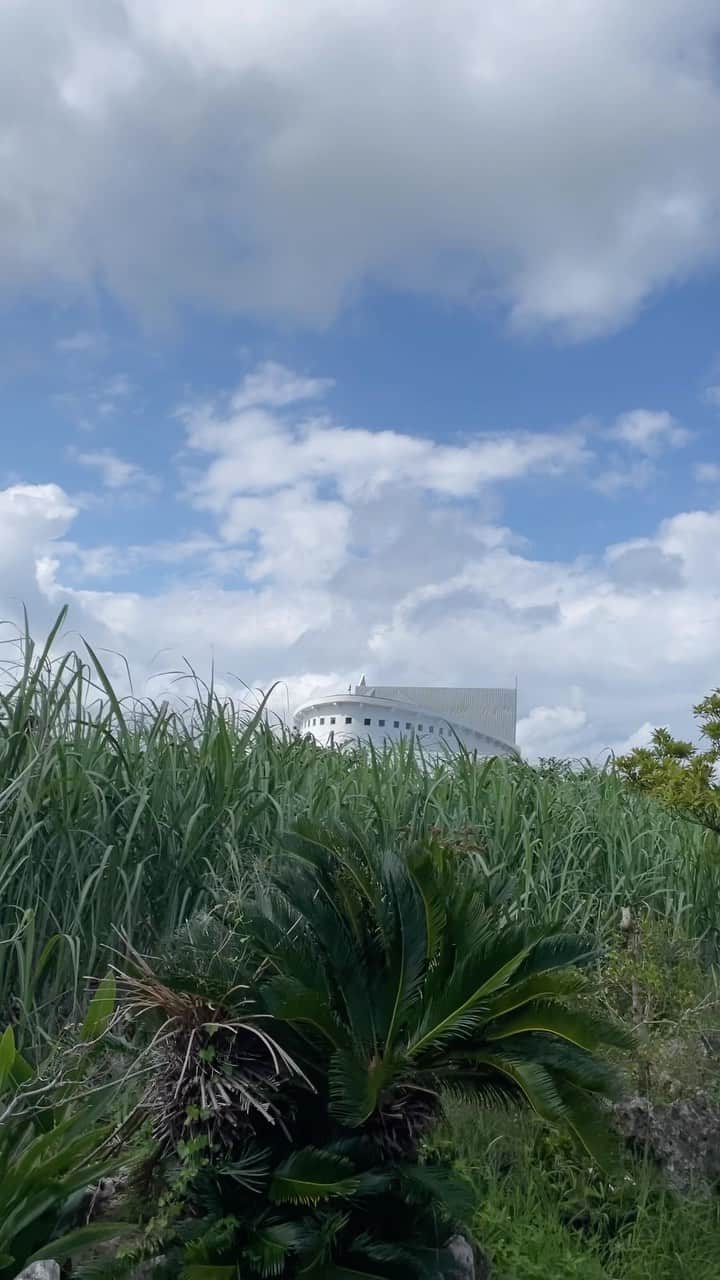 新倉瞳のインスタグラム：「Sugar hall at sugar cane field  さとうきび畑のど真ん中に聳え立つホール、それがシュガーホール」