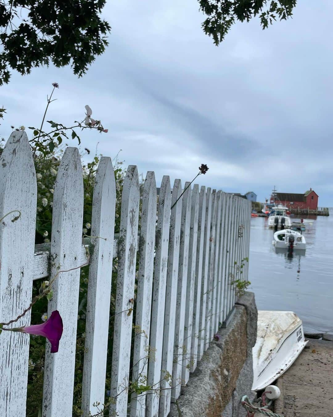 ブルックリー・ハンのインスタグラム：「🦞⚓️⛵️🌊🦀  Shockingly not more ice rink photos」