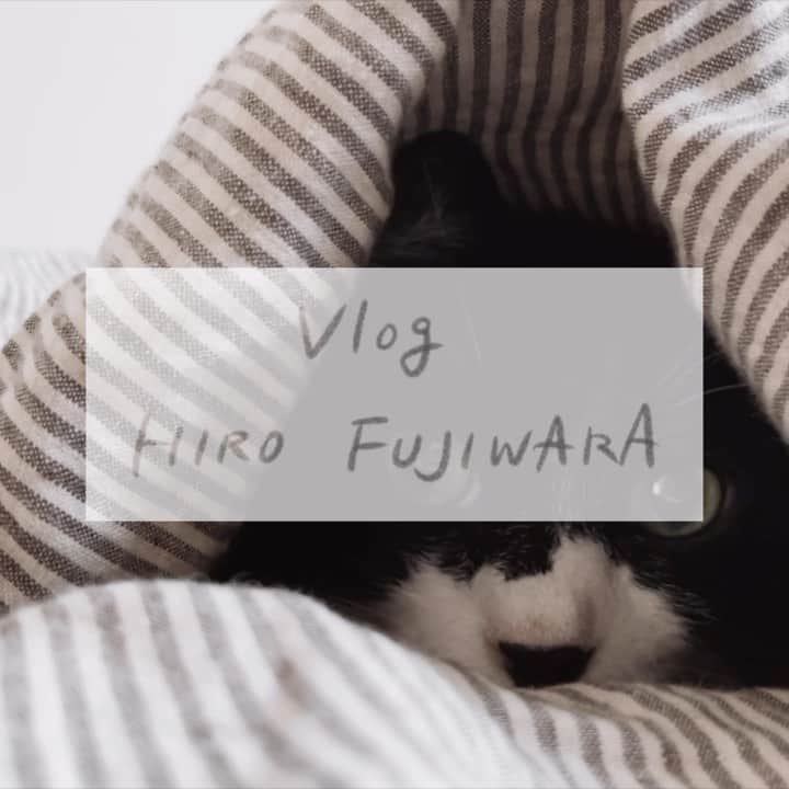 藤原ヒロのインスタグラム：「なんとなくやりたくなってYouTubeでVlog始めてみました。 ぼちぼち更新していけたらなと思ってます。  https://youtu.be/VADvPRtu8_g  エッセイが止まってるのずーーーーーっと気になってるので、それもちゃんと暇を見つけてちゃんと完結させたい…もうエッセイの中の時間から4年経ってしまっている…  5日発売のLaLaDXで「月島くんの殺し方」が最終回ということで、少し仕事が落ち着いて色々やりたい欲が増してる日々です。」