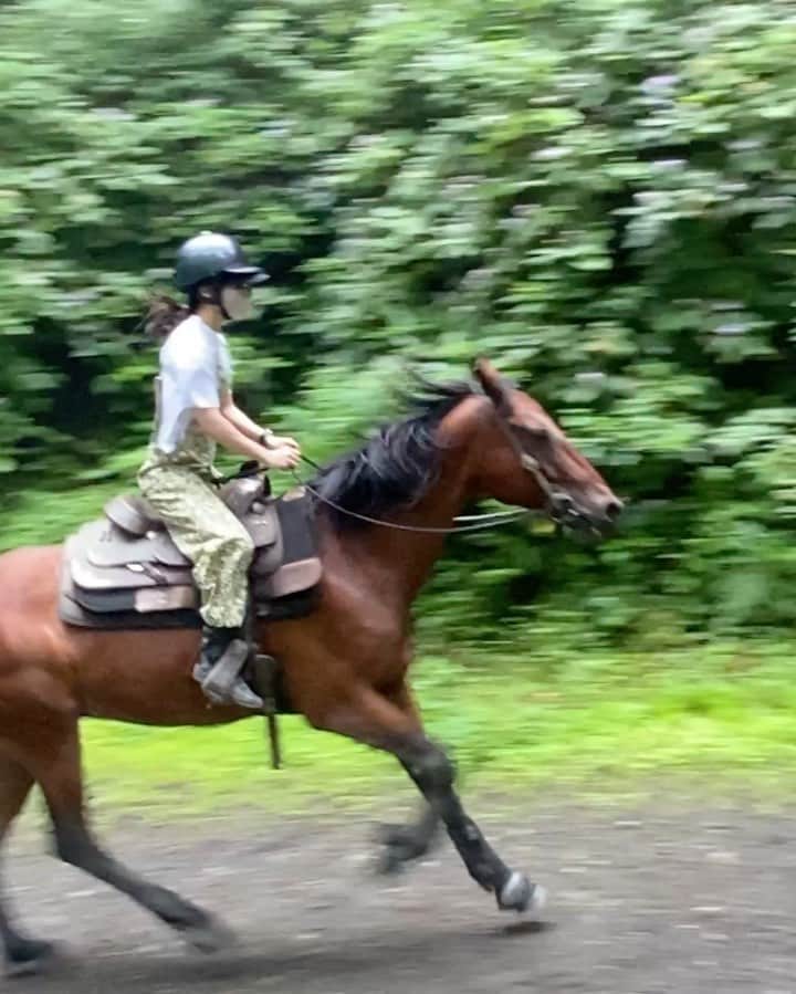 山本千尋のインスタグラム：「お久しぶりの投稿となってしまいました。 念願の乗馬をついに最近始めました🐴✨まだ2回目なので賢いお馬さん頼りになっておりますが、しっかり自分の力を付けたいです🤝兎に角、癒しの空間…動物達が愛おしくて仕方がありません。  #今夜は #鎌倉殿の13人  #観てね」