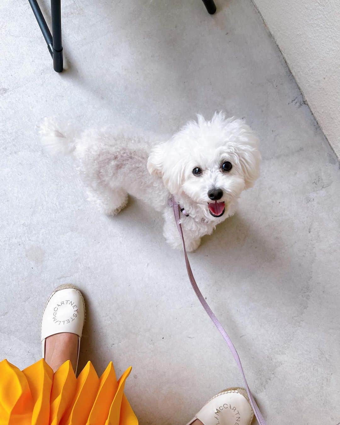 高嶋香帆のインスタグラム：「お散歩の途中でコーヒー買うのが好きです🐶 たっぷり目の散歩時間、わんさんをシャンプーしたりと良き休日🥰」