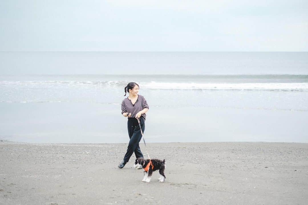 森口彩乃のインスタグラム：「・  トノと海シリーズ📸🏖  おトノは走るとチーターより速いと思う！！ 負けじと私も走るけれど、走り方がヤバかったよ🏃‍♀️ってよく言われるので、最近はおしとやかに走る事にしている🏃‍♀️✨  シュナウザーって、筋肉質で、運動神経抜群なんだって🐾お散歩していると、あらカッコいいわね〜って褒められて、嬉しそうなおトノちゃまなのでした〜  photo by @yashi.10.03   #ミニチュアシュナウザー #ミニシュナ #ミニシュナスタグラム #ミニシュナ部 #子犬 #パピー #湘南 #お散歩 #海  #海コーデ #ポートレート」