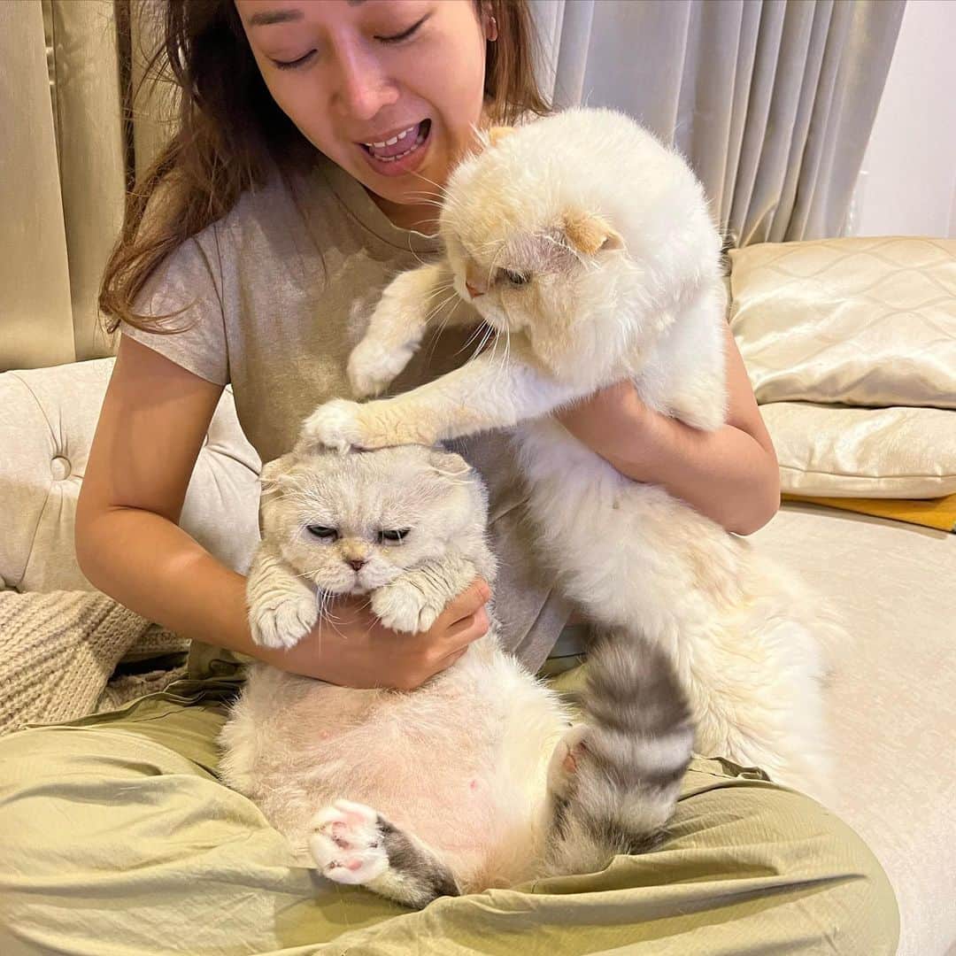 Haruのインスタグラム：「Love hate relationship 🫶🏻💔 มันคงเป็นความรัก」