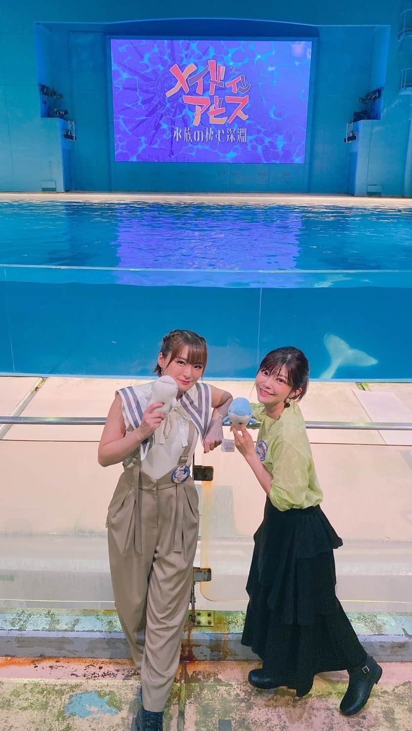 伊瀬茉莉也のインスタグラム：「🐬 横浜八景島シーパラダイス×メイドインアビス スペシャルコラボイベント  小さい頃、イルカの調教師に憧れていたこともあったので、こんな素敵な機会をいただけて、幸せでした！  お越し下さった皆さま、ありがとうございました！！✨  #メイドインアビス  #横浜八景島シーパラダイス🐬  #リール少しずつ楽しくなってきた　 #まだまだ下手っぴだけど」