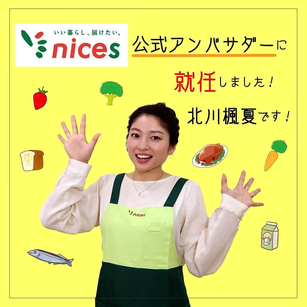 のインスタグラム：「記念すべき1,000投稿目！🎉 みなさんにご報告です！  この度、わたくし北川、なんと、 スーパーマーケット ナイスの 公式アンバサダーを務めることとなりました👏🏻ﾊﾟﾁﾊﾟﾁｰ  ( @nices_akita )  私も、いちナイスユーザーですので ナイスの裏側にも迫りながら〜お伝えしていきます💡  ちょこちょことインスタとTwitterで 最新トピックスやお得情報など投稿していきます！ そしてナイスのYouTubeチャンネルにも出演させていただきます🤩  新しい活動についてもぜひ応援いただければと思います！よろしくお願いしますっ！🙇🏻‍♀️  #akita #秋田 #スーパーマーケット #ナイス #nices #modelclubstella #model #公式アンバサダー #モデル事務所ステラ」