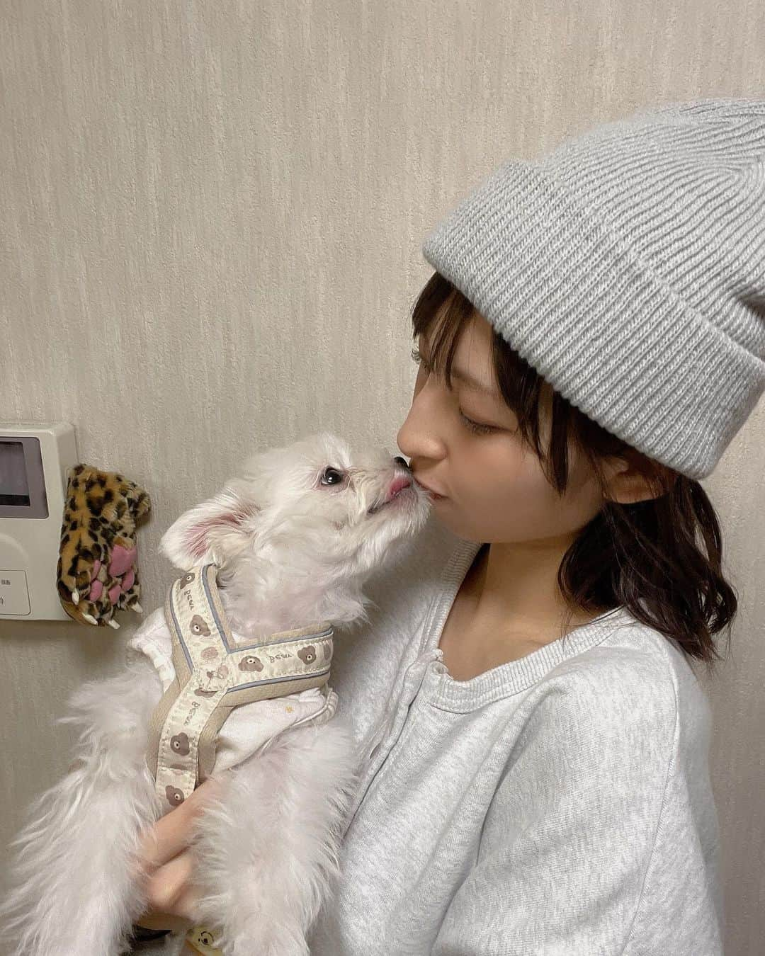 沖口優奈さんのインスタグラム写真 - (沖口優奈Instagram)「🐶🐶🐶」10月3日 19時51分 - yuna_okiguchi_