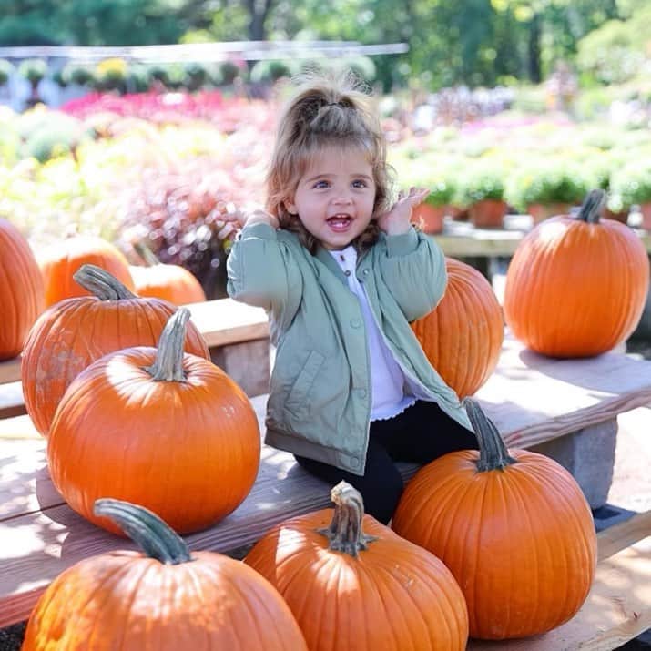ジュゼッペ・ロッシのインスタグラム：「My little fall pumpkin 🧡🧡🧡 #fall #mylove #girldadthings」