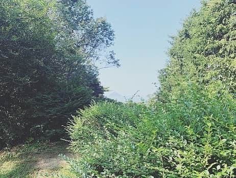 高杉さと美さんのインスタグラム写真 - (高杉さと美Instagram)「好きな場所　人　物  毎日増えていく、お守り  #植物のある暮らし  #風景 #島 #ドライブ」10月4日 11時51分 - satomi_mira