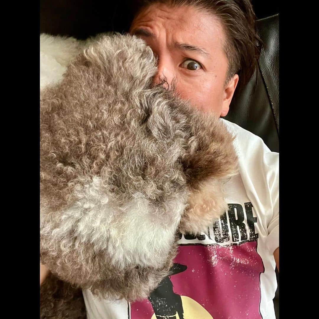 木村拓哉さんのインスタグラム写真 - (木村拓哉Instagram)「⁡ ⁡ ⁡ 「エトくん……。 そこで落ち着かれると…。 愛しいけど……、重いし…。 息がしづらいっす❕」 ⁡ PEACE‼︎ ⁡ STAYSAFE! ⁡ 拓哉 #木村拓哉#TakuyaKimura」10月4日 11時51分 - takuya.kimura_tak