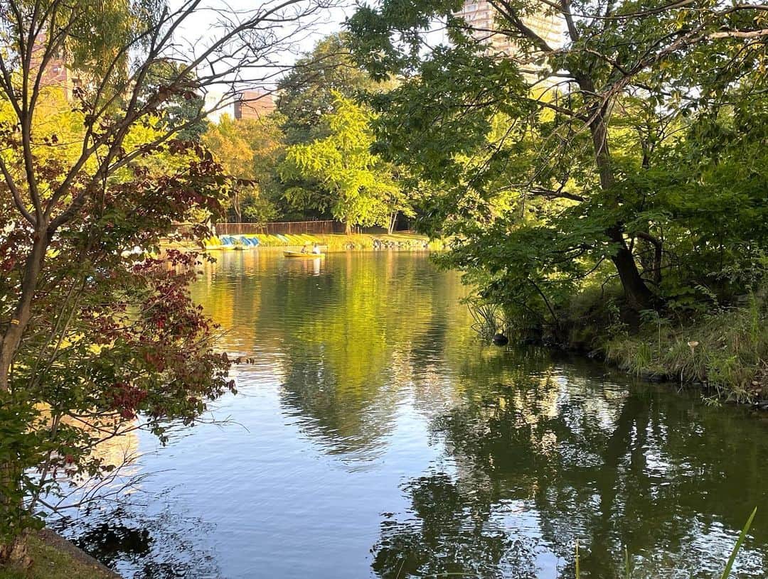 team_omotesandoのインスタグラム：「What a peaceful time @中島公園 札幌  #littlehappiness #littleappreciationpost #littlethankyou #beautifulpark #peacefultime #nakajimaparksapporo」