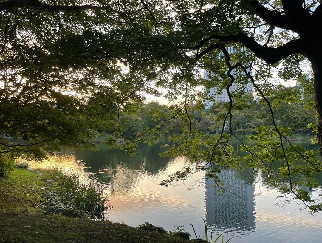 team_omotesandoさんのインスタグラム写真 - (team_omotesandoInstagram)「What a peaceful time @中島公園 札幌  #littlehappiness #littleappreciationpost #littlethankyou #beautifulpark #peacefultime #nakajimaparksapporo」10月4日 13時19分 - team_omotesando