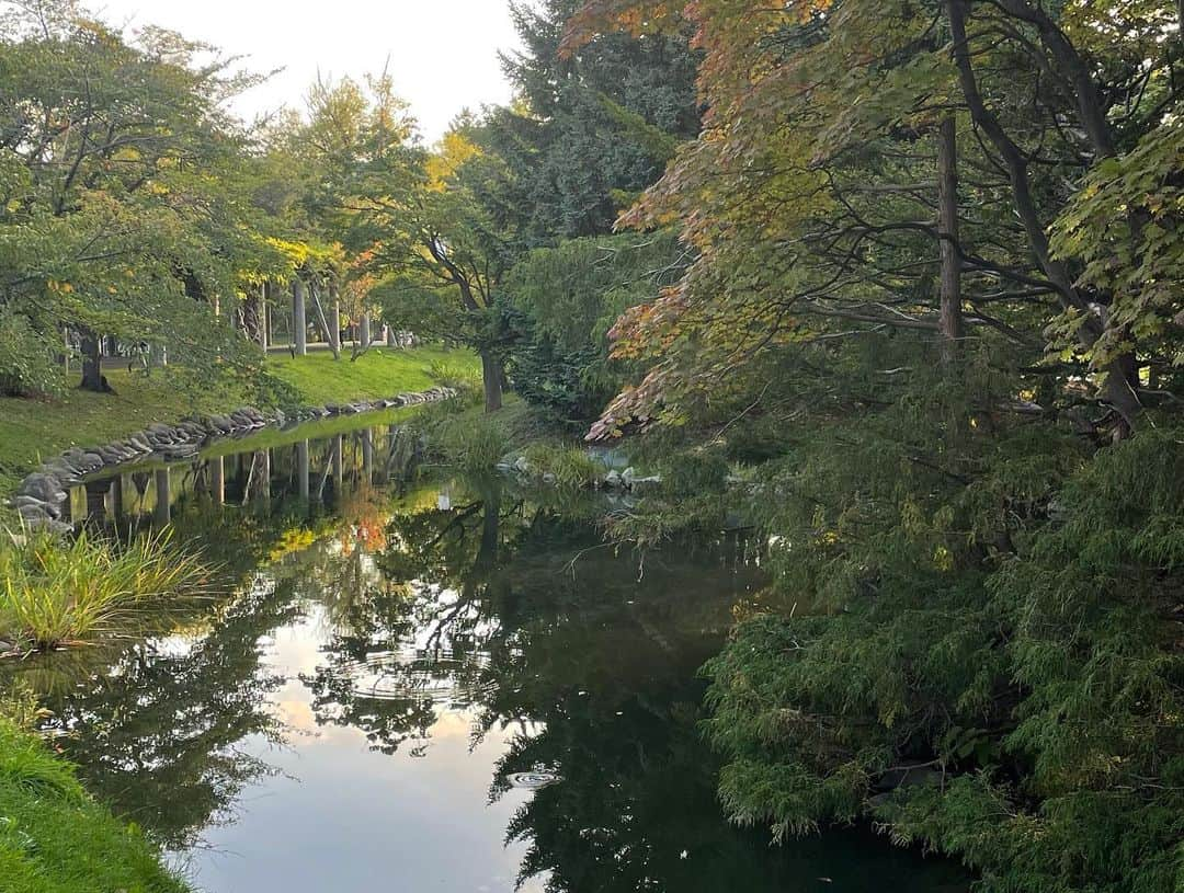 team_omotesandoさんのインスタグラム写真 - (team_omotesandoInstagram)「What a peaceful time @中島公園 札幌  #littlehappiness #littleappreciationpost #littlethankyou #beautifulpark #peacefultime #nakajimaparksapporo」10月4日 13時19分 - team_omotesando