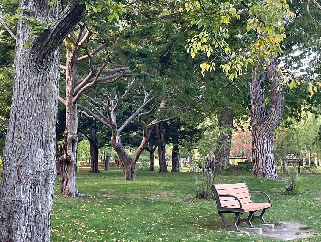 team_omotesandoさんのインスタグラム写真 - (team_omotesandoInstagram)「What a peaceful time @中島公園 札幌  #littlehappiness #littleappreciationpost #littlethankyou #beautifulpark #peacefultime #nakajimaparksapporo」10月4日 13時19分 - team_omotesando