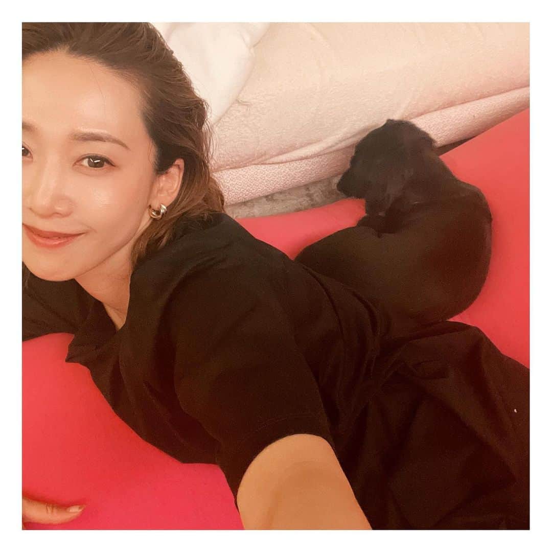 龍真咲のインスタグラム：「LICHT8歳🎂✨ Happy Birthday🐶❤️  ダイエット中なのでいつものご飯🥣 ちょい痩せしたらご褒美ケーキしましょっ🥰 幸せと癒しを運んでくれるりーくんは宝物です💖  いつも有難うりーくん💖  #いぬすたぐらむ  #わんすたぐらむ  #カニンヘンダックス  #ブラソリ」