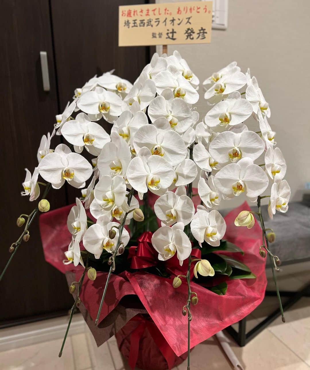 十亀剣さんのインスタグラム写真 - (十亀剣Instagram)「10/2を持ちましてプロ野球選手を引退する事になりました。  色々と悩み考えた末の決断です。 ここ数年は自分の体を思うようにコントロール出来ず苦しみ、もがいていました。 会見でも言った様に今の私ではライオンズの戦力にはなれない。と悟ってしまったのが決断の要因です。  そして最終戦での登板の機会を与えて下さった球団関係者の皆さま、そして監督、コーチ、選手の皆さまには本当に感謝しております。  引退登板では数多くの応援プレートや歴代の私のタオルを掲げて下さる皆さん、そして多くの拍手を背にマウンドに上がれた私は本当に幸せでした。 観ていただいた通り、あれが今の私の限界です。 ですが十亀剣らしさが出せた投球が最後に出来ました。 皆さんに「十亀ってこんなピッチャーだったな。」と思い出していただける4球になったでしょうか？  最後に　21番　という番号を背負い続けてきた事は本当に光栄でした。 11年間応援ありがとうございました！ そしてこれからもライオンズをよろしくお願いします！ 　　　　　　　　　十亀　剣 #21  ※3枚目の写真はセレモニー中にレオとライナからもらった亀ダルです。最後に少しイジられました。笑 でも嬉しかったです。 4枚目は次の日の朝に辻監督から家に届いたお花です。ビックリしましたが本当にありがとうございました！  #埼玉西武ライオンズ #引退 #ありがとうございました  #最後くらいいい顔写真で…」10月4日 16時42分 - kameken.21