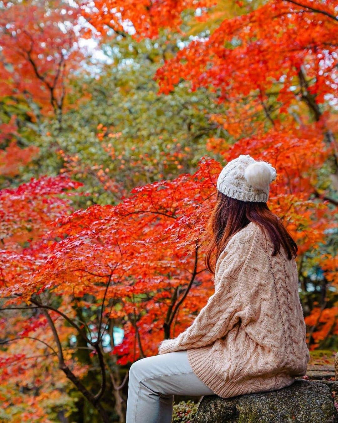 Stayway女子さんのインスタグラム写真 - (Stayway女子Instagram)「【📍香川県・讃岐市】 ——————————————— 四国随一の紅葉の名所として知られる香川県の #大窪寺  ——————————————— 素敵な女子旅をされている方をご紹介させていただきます！✨ こちらの写真は @moe_matsui さんがアプリへ投稿してくださいました😄魅力が伝わってくる素敵な投稿ありがとうございました🎵 ⁡ #Stayway女子旅 というハッシュタグをつけて是非投稿してください♪ Instagramにてご紹介させていただきます！ ——————————————————— AppStore又はGooglePlayで「stayway」を検索！トラベルクリエイターがリアルな口コミを情報発信！エリアでの絞り込みや位置情報でも投稿を探せます😌  ステキなお出かけや旅の思い出を記録していきましょう🎵優先的にインスタでシェアさせていただきます！ ——————————————————— 📍大窪寺  香川県さぬき市にある大窪寺🍂 大窪寺は四国霊場八十八ヶ所・第88番礼場で結願の寺と呼ばれる最後のお寺です🌿  そんなお遍路さんで有名な大窪寺ですが四国一の紅葉の名所としても有名な場所なのです🍁✨  モミジやカエデ、イチョウが見られ、紅葉の時期にはほんとに多くの人で賑わいます🌟 門から見えるモミジの景色も最高に綺麗です😊🥰  ぜひ、紅葉シーズンに一度は訪れたいスポットです🌞 ————————————————— #stayway_girls #stayway_hokkaido #香川観光 #香川旅行 #讃岐 #さぬき観光 #さぬき市 #紅葉狩り #女子旅 #香川女子旅 #東京カメラ部 #旅行好き #国内旅行 #プチ旅行 #週末旅行 #フォトジェニック #フォトジェニックスポット #映えスポット #絶景スポット #四国旅行 #四国観光 #秋旅行 #讃岐市」10月4日 16時51分 - stayway_girls