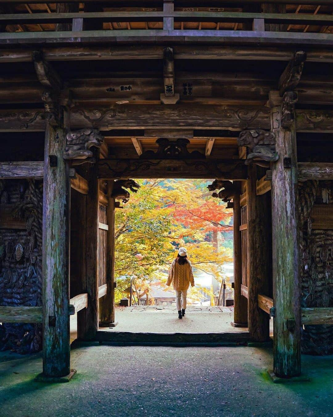 Stayway女子さんのインスタグラム写真 - (Stayway女子Instagram)「【📍香川県・讃岐市】 ——————————————— 四国随一の紅葉の名所として知られる香川県の #大窪寺  ——————————————— 素敵な女子旅をされている方をご紹介させていただきます！✨ こちらの写真は @moe_matsui さんがアプリへ投稿してくださいました😄魅力が伝わってくる素敵な投稿ありがとうございました🎵 ⁡ #Stayway女子旅 というハッシュタグをつけて是非投稿してください♪ Instagramにてご紹介させていただきます！ ——————————————————— AppStore又はGooglePlayで「stayway」を検索！トラベルクリエイターがリアルな口コミを情報発信！エリアでの絞り込みや位置情報でも投稿を探せます😌  ステキなお出かけや旅の思い出を記録していきましょう🎵優先的にインスタでシェアさせていただきます！ ——————————————————— 📍大窪寺  香川県さぬき市にある大窪寺🍂 大窪寺は四国霊場八十八ヶ所・第88番礼場で結願の寺と呼ばれる最後のお寺です🌿  そんなお遍路さんで有名な大窪寺ですが四国一の紅葉の名所としても有名な場所なのです🍁✨  モミジやカエデ、イチョウが見られ、紅葉の時期にはほんとに多くの人で賑わいます🌟 門から見えるモミジの景色も最高に綺麗です😊🥰  ぜひ、紅葉シーズンに一度は訪れたいスポットです🌞 ————————————————— #stayway_girls #stayway_hokkaido #香川観光 #香川旅行 #讃岐 #さぬき観光 #さぬき市 #紅葉狩り #女子旅 #香川女子旅 #東京カメラ部 #旅行好き #国内旅行 #プチ旅行 #週末旅行 #フォトジェニック #フォトジェニックスポット #映えスポット #絶景スポット #四国旅行 #四国観光 #秋旅行 #讃岐市」10月4日 16時51分 - stayway_girls