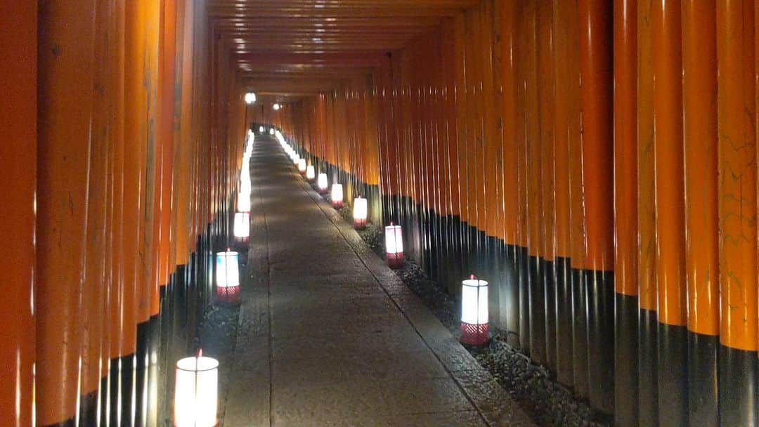 City of Kyoto Official Accountのインスタグラム：「✨Fushimi Inari-Taisha Shrine Light up✨ ⛩ #伏見稲荷大社 初の試み、 #千本灯籠 ⛩ 10/8・9に行われる講員大祭斎行に伴う記念事業の一環として、10/10までライトアップを開催中です。 有名な千本鳥居周辺が18:00～22:00まで灯されます。 ライトアップには、昨年度まで「花灯路」で使用されていた行灯が使われています。  ■ライトアップ（Japanese Only）　https://ja.kyoto.travel/event/single.php?event_id=7198 ■講員大祭（Japanese Only）　https://ja.kyoto.travel/event/single.php?event_id=3662 ■Fushimi Inari-Taisha Shrine（English） https://kyoto.travel/en/shrine_temple/180.html  #京都 #京都ジェニック #京都観光 #伏見稲荷大社 #花灯路 #ライトアップ #kyoto #japan #tourism #kyototravel #kyototrip #kyotogram #kyotophoto #japantravel #japantrip #japan_of_insta #japanculture #japanesestyle #fushimiinaritaisha #lightup」