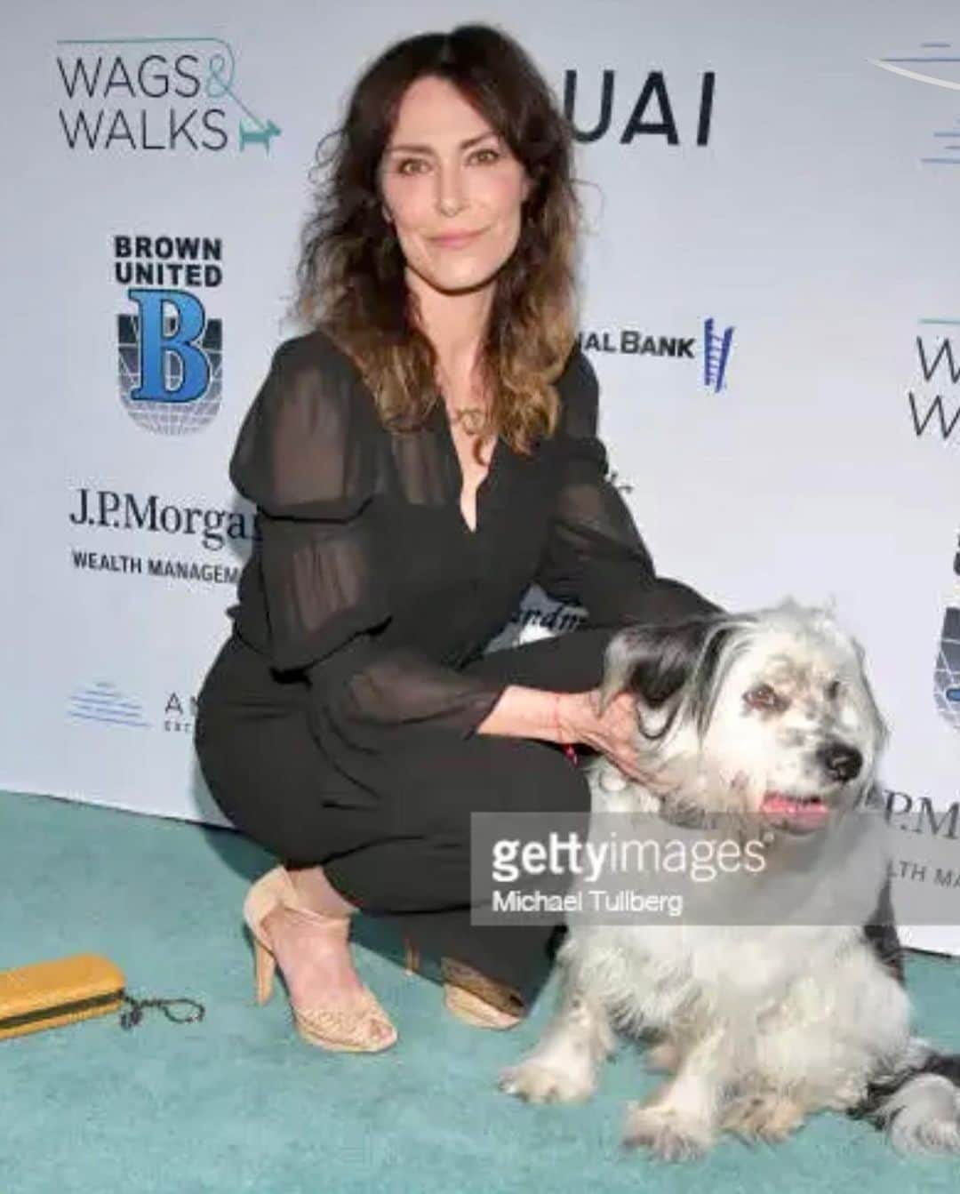 ミシェル・フォーブスのインスタグラム：「Was very happy to celebrate 11 years  of @wagsandwalks finding homes for so many 4 leggers in need. They’ve accomplished so much good.  Henry and I had a very sweet night✨✨✨  #adoptdontshop #wagsandwalks」
