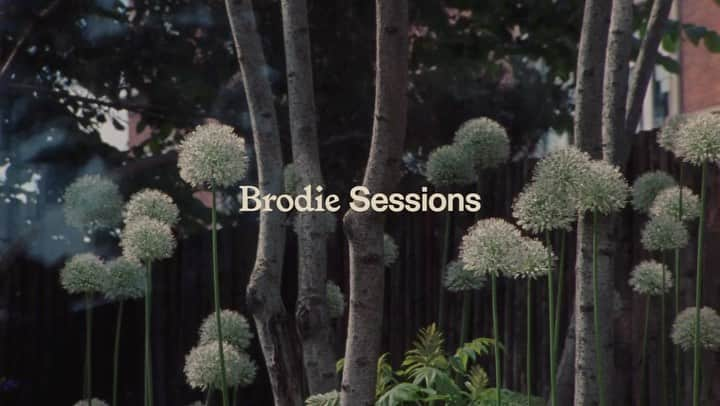 ホセ・ゴンザレスのインスタグラム：「I really enjoyed hanging out and playing at @brodiesessions! The setting felt perfect for the quiet songs and opened up for a contemplative moment. A warm host and world class audio/visual crew!」