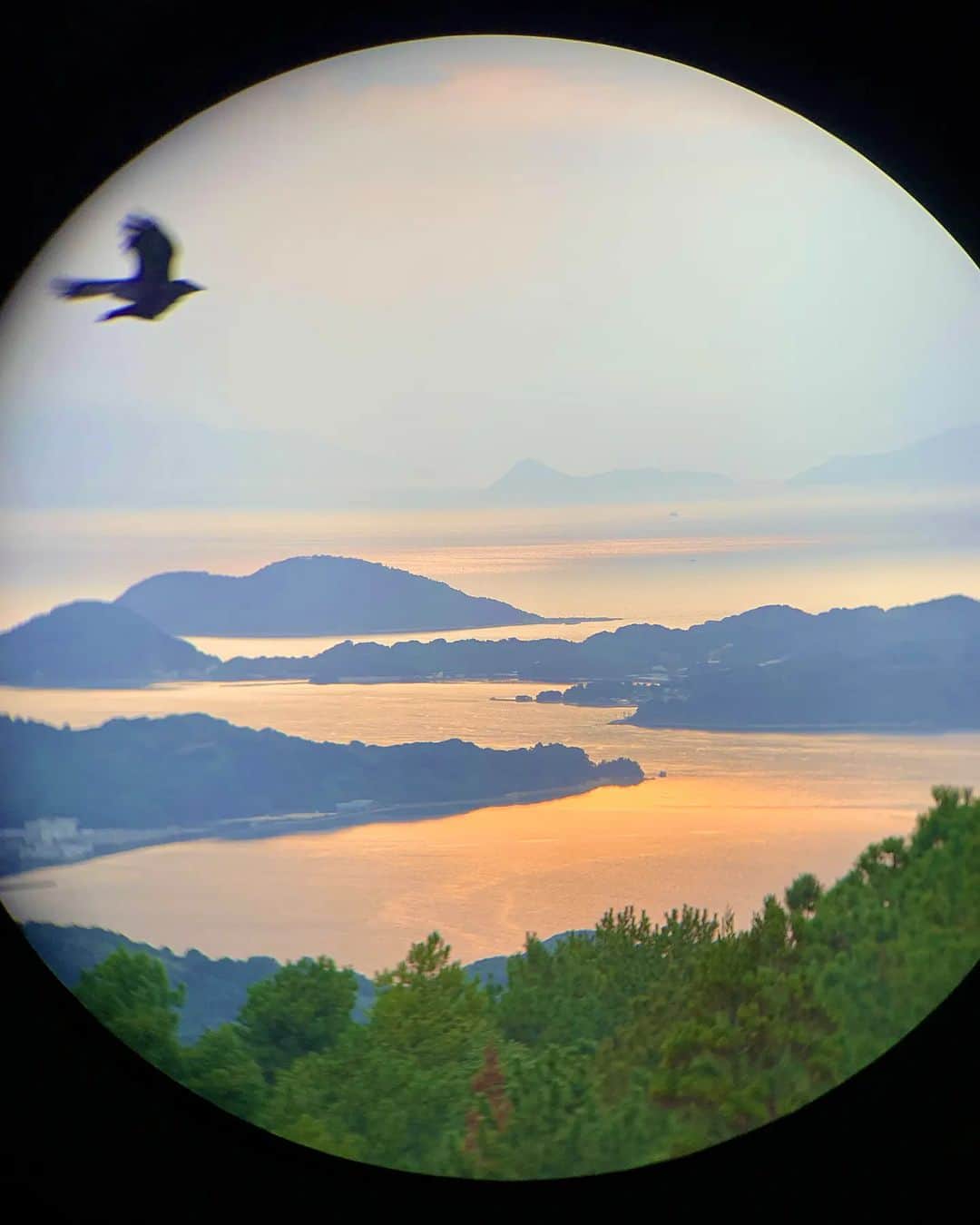 Yoshiko Kris-Webb クリス-ウェブ佳子さんのインスタグラム写真 - (Yoshiko Kris-Webb クリス-ウェブ佳子Instagram)「望遠鏡にスマホをかざしたら、鳥。」10月6日 0時21分 - tokyodame