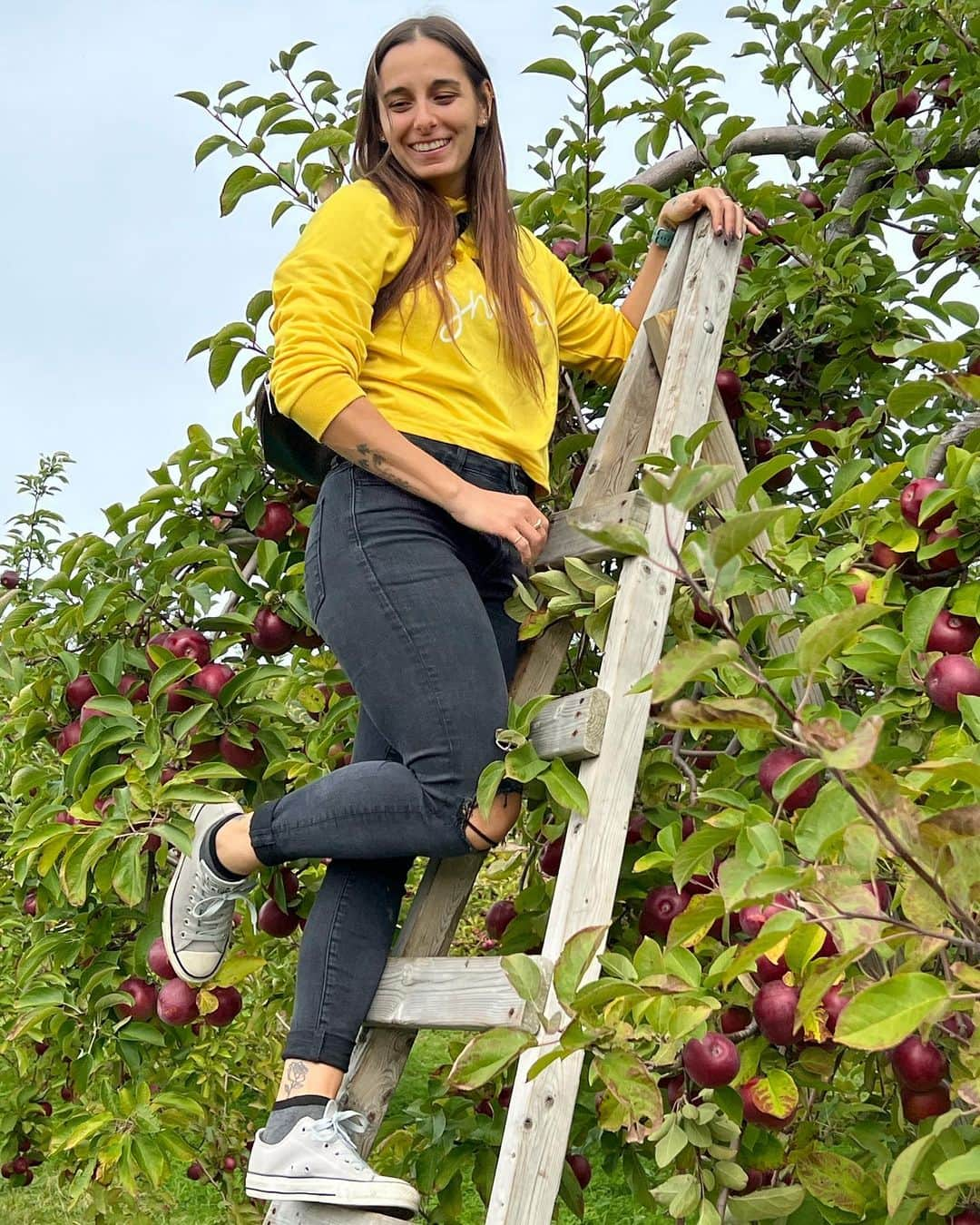 パメラ・ウェアさんのインスタグラム写真 - (パメラ・ウェアInstagram)「🍎🍎 • #applepicking」10月6日 1時07分 - pamelaware1