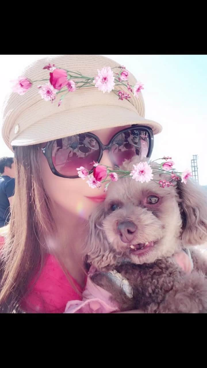 sayoko87のインスタグラム：「2022-10-06 うちの子記念日🐶 出逢ってくれてありがとう 我が家に来てくれてありがとう 可愛い我が家のマンネ💜 これからもずっと一緒にいようね  #うちの子記念日 #わんこのいる生活  #happydog #happylife #loveyourself」