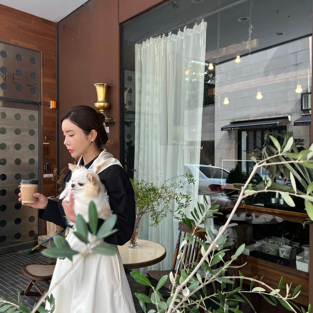 アン・シネのインスタグラム