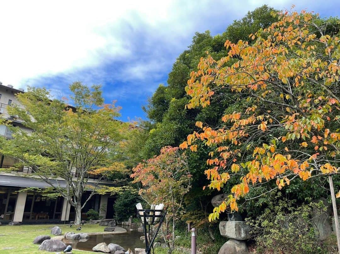 姫路ゆめさき川温泉 夢乃井のインスタグラム：「中庭の木が秋らしく綺麗に色付いてきました✨️  #夢乃井  #夢乃井庵夕やけこやけ  #塩田温泉  #姫路  #日帰り温泉  #里山温泉リゾートちょうどいい非日常  #秋」