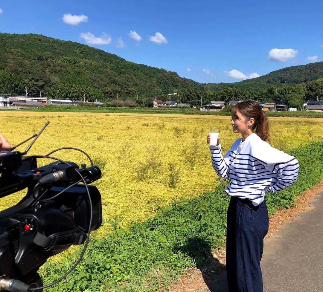 内山絵里加のインスタグラム：「・ ・ 『静岡彩発見〜酪農めぐり〜』丹那牛乳編🎥 ・ だいすきな、牛に会えて ハッピーなロケでした🐄🤍 思わず抱きついてすりすり.. 函南の豊かな自然、人の温かさに癒され お仕事でうかがったのに 全力でリフレッシュできました🌱 大好きな場所の1つです。 ・ 酪農家の担い手は、年々減っています。 静岡の豊かな自然、酪農家さんの熱い思い 牛乳の尊いおいしさ ぜんぶぜんぶ、伝わってほしいなと思います🥛 また放送日は追ってお伝えしますね！ お楽しみに👱🏻‍♀️𓂃 𓈒𓏸◌‬ ・ #牛乳 #酪農 #丹那牛乳 #静岡 #函南 #牛 #オラッチェ #静岡彩発見 #トコチャンネル」
