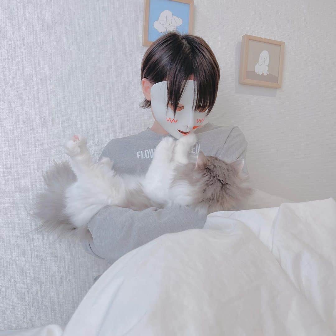 bakeのインスタグラム：「ルアおっきくなりました🐈´-」