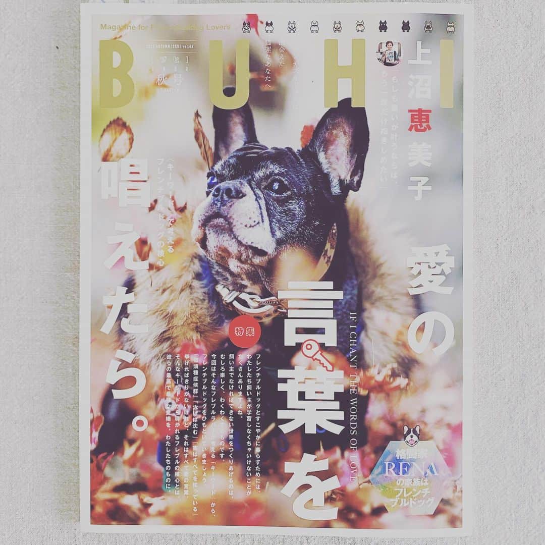 のインスタグラム：「*. *. g'm♪ *. *. わんこアカウントでも お知らせ済みですが しつこくてすみません。 *. 9/27発売のBUHI秋号に マドさん、アシュ子さんを掲載いただきました。 *. 掲載ページはこちら⬇︎ P.20-24、P.29-30 thank you ♡ @buhimagazine ! *. 敬愛する上沼さんのインタビュー記事の 次のページってところも感激😭 べべちゃんとのエピソードにも 共感するところがありすぎて😭 *. 掲載されたたくさんのフレブルちゃん。みんなそれぞれにストーリーがあって、フレブルちゃん、オーナーさん愛に溢れた一冊です🐶🐶❤️ *. よろしかったら手に取ってみてくださいませ。  テト＆マド＆アシュ🐶🐶😊 *.」