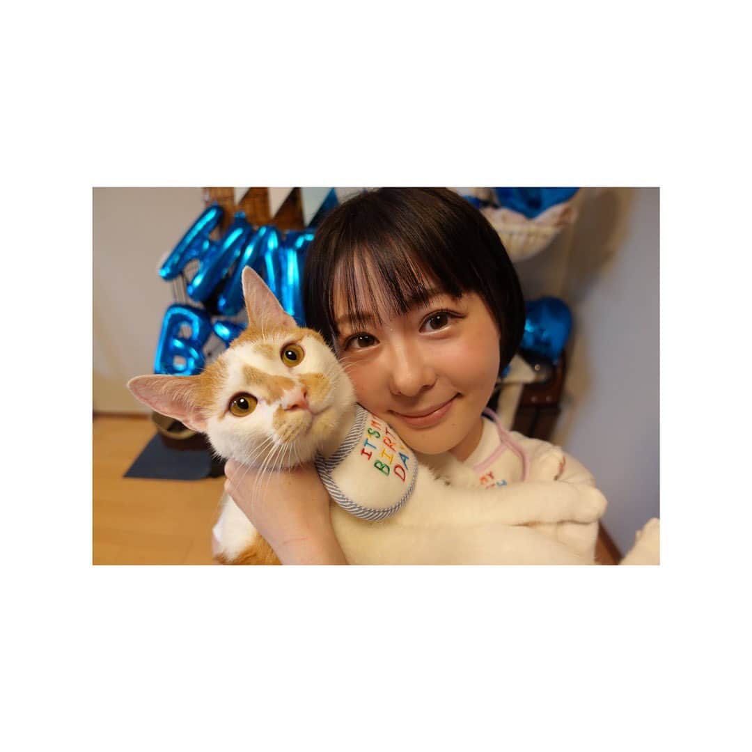 神堂きょうかのインスタグラム：「. . 10月6日でとろろが1歳になりましたーーーーー！！！！. . . とろろと出逢って10ヶ月！. すくすく成長してくれて感動しとります！. . . 日に日に可愛くなっていく！🥺. . . とろろは芸を覚えてくれますが. . . 今では. . おすわり. お手. おかわり. よっ✋(ハイタッチ). 顎乗せ. スピン. 顔ハメ. ゴローン. ベル. . . が出来るようになりました🥺. . . すごい奴でっせ…….🐈 . . . にしても最近は、とろろ推しが中にはいるらしいな……. . . . いいか、良く聞いてくれ。 . . . . 私が1番のとろろ推しである。. . . . #とろろ#猫#愛猫 #誕生日お祝い #装飾も #人にもこんなんまでしたことないのに #でも我が愛猫のため #トイレは見られてても平気なタイプ」